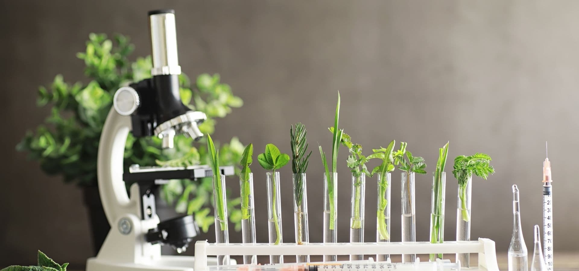 Servicios Biology Cabinet