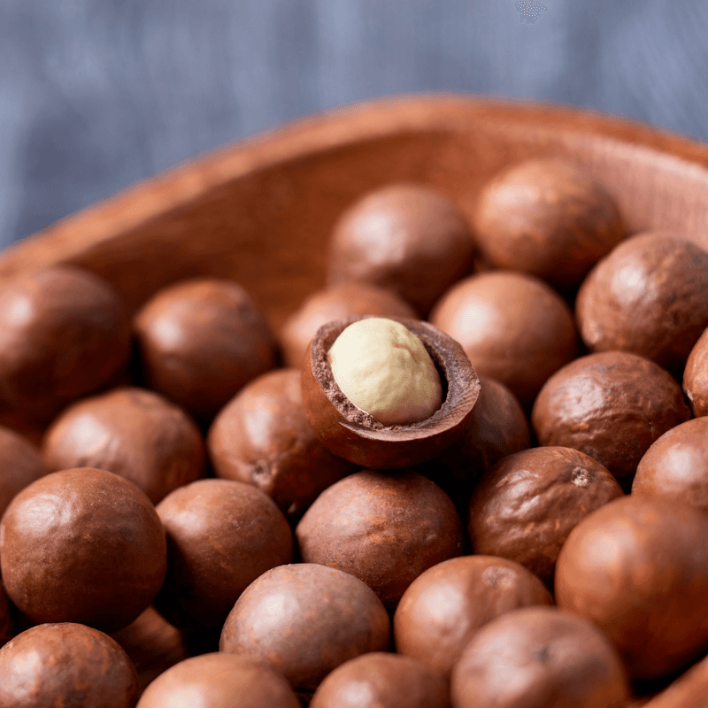 Macadamia
